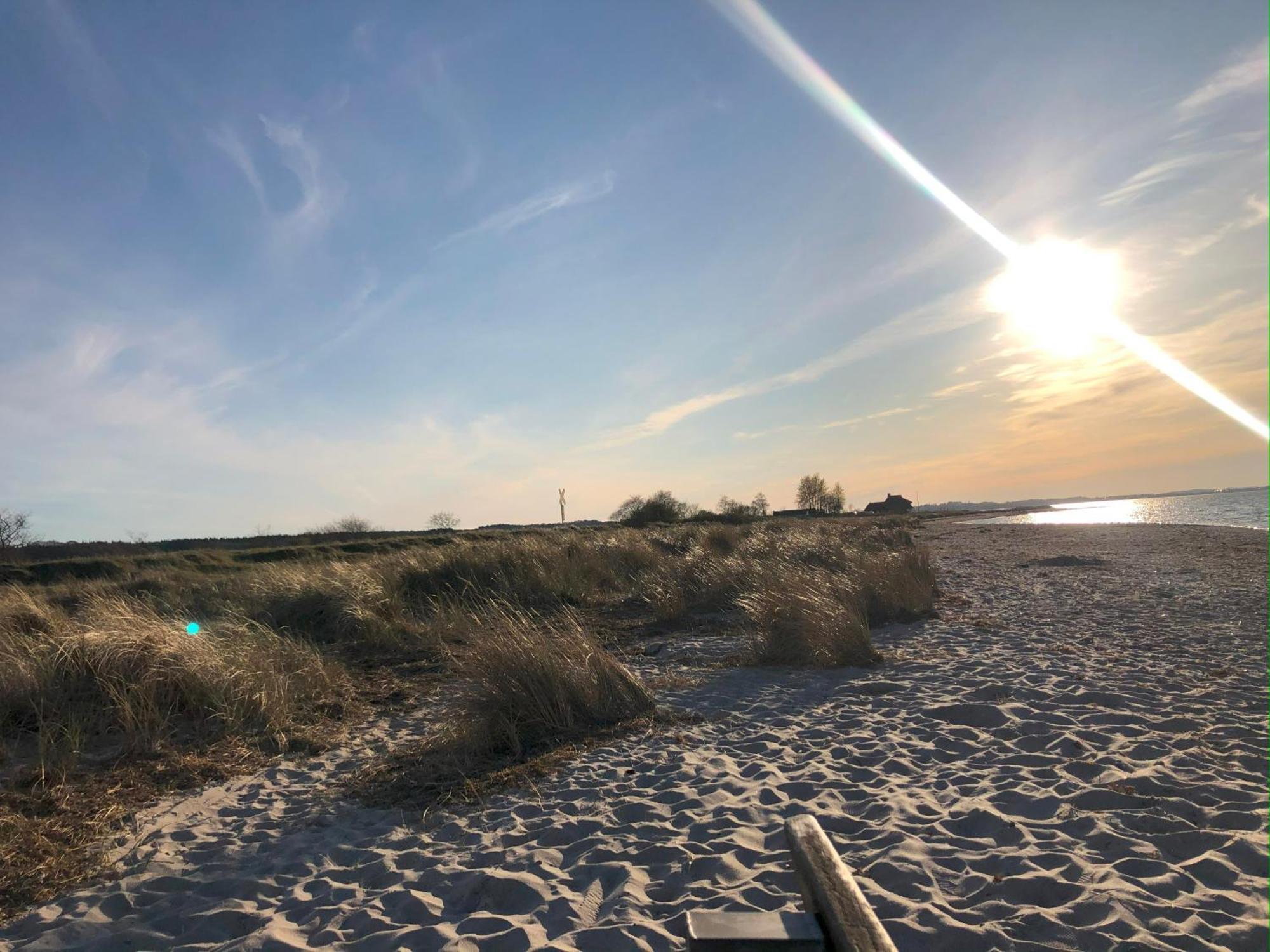 Neue Ferienwohnung An Der Ostsee,Terrasse,Sauna Surendorf Exteriör bild