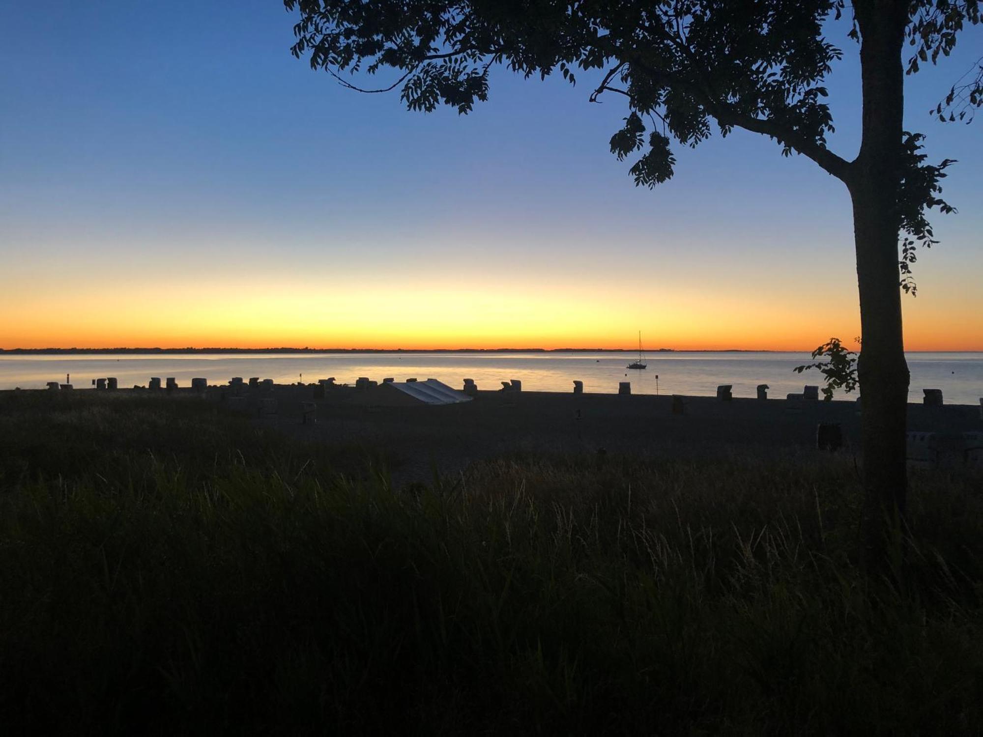 Neue Ferienwohnung An Der Ostsee,Terrasse,Sauna Surendorf Exteriör bild