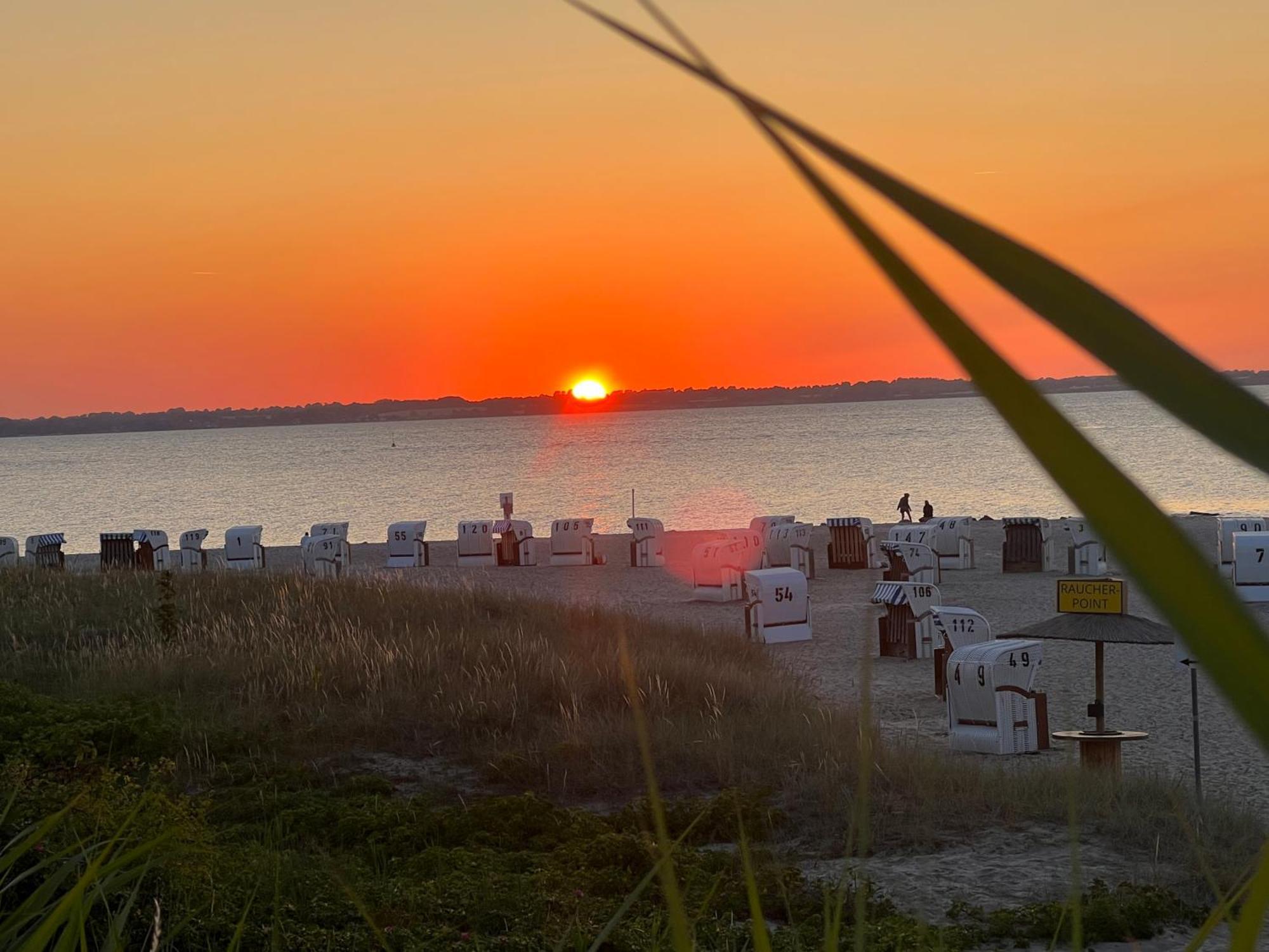 Neue Ferienwohnung An Der Ostsee,Terrasse,Sauna Surendorf Exteriör bild